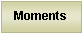Text Box: Moments
